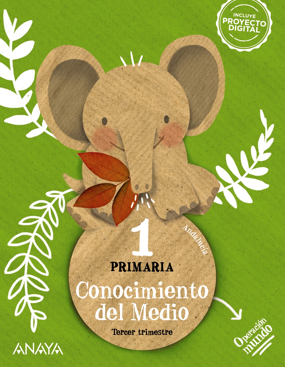 CONOCIMIENTO DEL MEDIO NATURAL, SOCIAL Y CULTURA